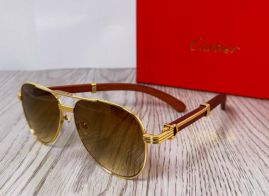 Picture of Cartier Sunglasses _SKUfw55248114fw